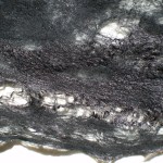 cobweb felted scarf -Joy of Darkness-