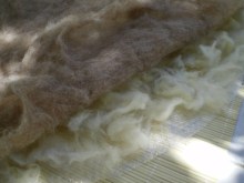 felted carpet -buenas dias- process