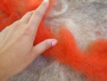 felted carpet -buenas dias- process