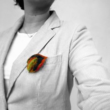 felted brooch -fruits of spring-