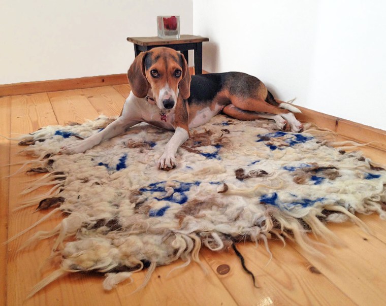hand felted rug -affogato-